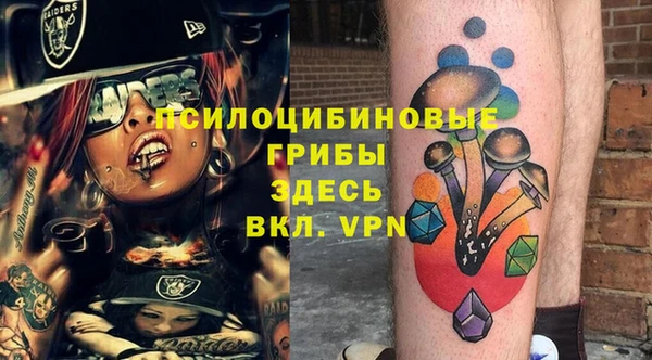 ГАЛЛЮЦИНОГЕННЫЕ ГРИБЫ Киренск