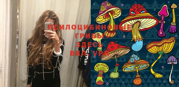 ГАЛЛЮЦИНОГЕННЫЕ ГРИБЫ Киренск