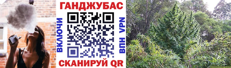 Купить закладки  Тольятти  Марихуана Ganja 
